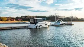 Ognisty Ptak przed kwietniowym zachodem słońca - zdjęcie 8