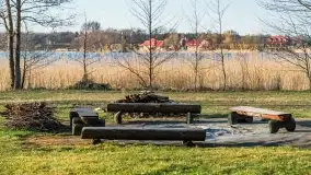 Ognisty Ptak przed kwietniowym zachodem słońca - zdjęcie 9