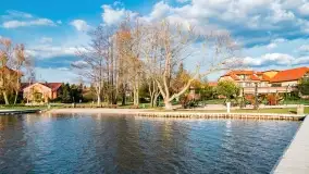 Ognisty Ptak przed kwietniowym zachodem słońca - zdjęcie 21