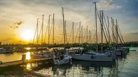 Rozpoczęcie sezonu w Tle Dla Mew, majówka 2022 - zdjęcie 46