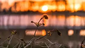 Jeszcze raz majówkowy zachód słońca w Sztynorcie - zdjęcie 29