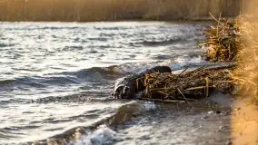 Zachód słońca nad jeziorem Dobskim, kwiecień 2022 - zdjęcie 48