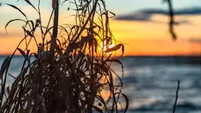 Zachód słońca nad jeziorem Dobskim, kwiecień 2022 - zdjęcie 15