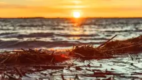 Zachód słońca nad jeziorem Dobskim, kwiecień 2022 - zdjęcie 53