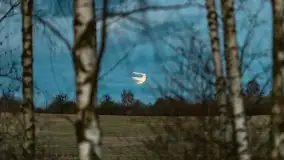 Zachód słońca nad jeziorem Dobskim, kwiecień 2022 - zdjęcie 51