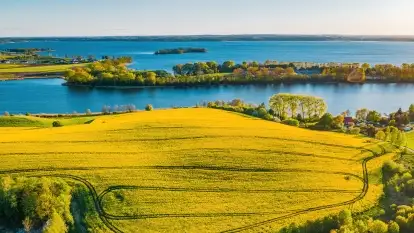 Złote, rzepakowe mazurskie pola z jeziorami w tle