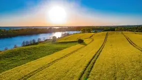 Złote, rzepakowe mazurskie pola z jeziorami w tle - zdjęcie 11