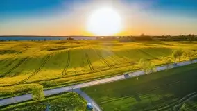 Złote, rzepakowe mazurskie pola z jeziorami w tle - zdjęcie 66