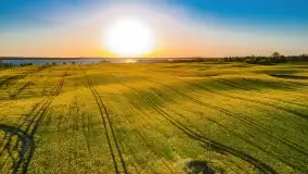 Złote, rzepakowe mazurskie pola z jeziorami w tle - zdjęcie 47