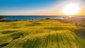 Złote, rzepakowe mazurskie pola z jeziorami w tle - zdjęcie 57