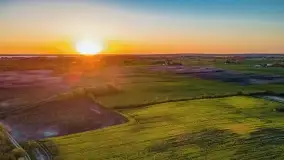 Złote, rzepakowe mazurskie pola z jeziorami w tle - zdjęcie 23