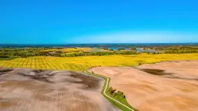 Złote, rzepakowe mazurskie pola z jeziorami w tle - zdjęcie 16