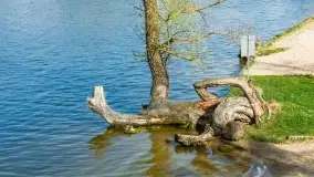 Wiosenne Mikołajki w pierwszej połowie maja - zdjęcie 40