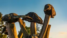 Zachód słońca nad jeziorem Bocznym, Marina Lester Club - zdjęcie 22