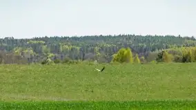 Wiosenne widoki przy jeziorach Ublik - zdjęcie 25