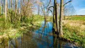 Wiosenne widoki przy jeziorach Ublik - zdjęcie 32