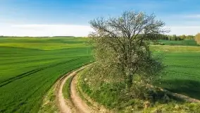 Wiosenne widoki przy jeziorach Ublik - zdjęcie 43