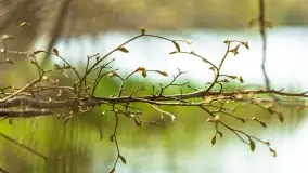 Wiosenne widoki przy jeziorach Ublik - zdjęcie 62