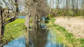 Wiosenne widoki przy jeziorach Ublik - zdjęcie 132