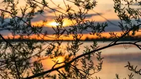 Zachód słońca nad jeziorem Niegocin, maj 2022 r. - zdjęcie 15