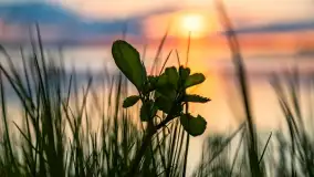 Zachód słońca nad jeziorem Niegocin, maj 2022 r. - zdjęcie 9