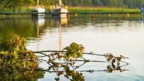 Wschód słońca nad jeziorem Mamry, Stanica Wodna Kietlice, czerwiec 2022 - zdjęcie 70