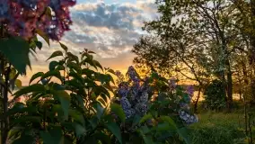 Zachód słońca nad jeziorem Kirsajty, koniec maja 2022 - zdjęcie 18