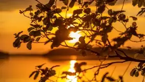 Zachód słońca nad jeziorem Kirsajty, koniec maja 2022 - zdjęcie 28