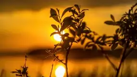 Zachód słońca nad jeziorem Kirsajty, koniec maja 2022 - zdjęcie 36