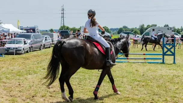 Sulimiada 2022, zobacz naszą fotorelację - zdjęcie 6