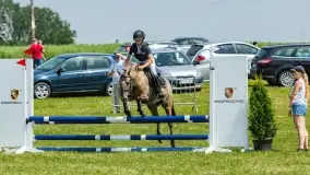 Sulimiada 2022, zobacz naszą fotorelację - zdjęcie 69