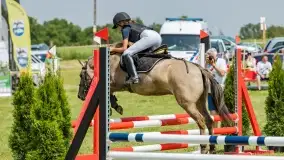 Sulimiada 2022, zobacz naszą fotorelację - zdjęcie 70