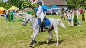 Sulimiada 2022, zobacz naszą fotorelację - zdjęcie 63