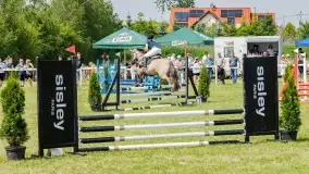 Sulimiada 2022, zobacz naszą fotorelację - zdjęcie 86