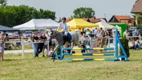 Sulimiada 2022, zobacz naszą fotorelację - zdjęcie 94