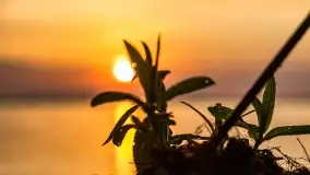 Zachód słońca nad jeziorem Dobskim w Fuledzie, czerwiec 2022 - zdjęcie 5