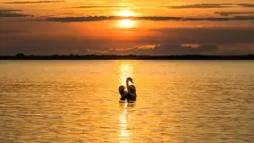 Zachód słońca nad jeziorem Dobskim w Fuledzie, czerwiec 2022 - zdjęcie 11