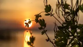 Zachód słońca nad jeziorem Dobskim w Fuledzie, czerwiec 2022 - zdjęcie 22