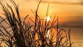 Zachód słońca nad jeziorem Dobskim w Fuledzie, czerwiec 2022 - zdjęcie 19