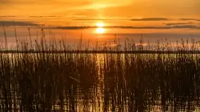 Zachód słońca nad jeziorem Dobskim w Fuledzie, czerwiec 2022 - zdjęcie 17