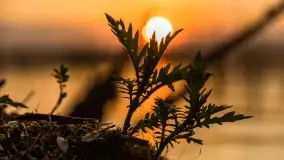 Zachód słońca nad jeziorem Dobskim w Fuledzie, czerwiec 2022 - zdjęcie 30