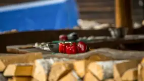 Fotorelacja Dzikie Smaki Mazur - zdjęcie 13