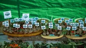 Fotorelacja Dzikie Smaki Mazur - zdjęcie 38