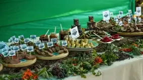 Fotorelacja Dzikie Smaki Mazur - zdjęcie 60