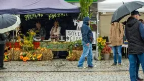 Fotorelacja z dożynek Gminnych w Piszu, Piknik Wołowy - zdjęcie 40