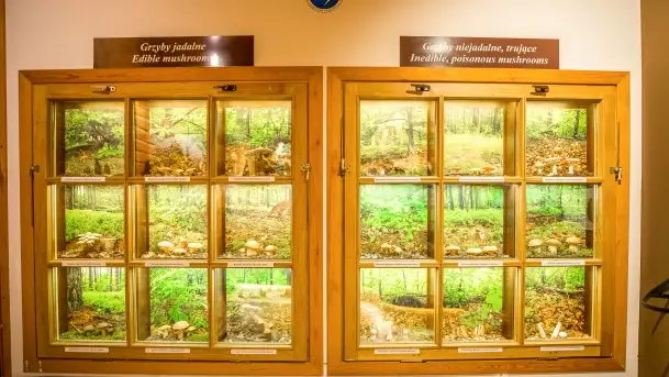 Fotorelacja -  Ogólnopolski Dzień Parków Krajobrazowych w Puszczy Piskiej - zdjęcie 11