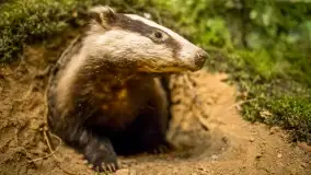 Fotorelacja -  Ogólnopolski Dzień Parków Krajobrazowych w Puszczy Piskiej - zdjęcie 23