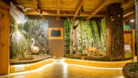 Fotorelacja -  Ogólnopolski Dzień Parków Krajobrazowych w Puszczy Piskiej - zdjęcie 20