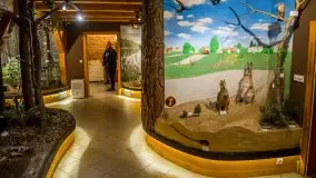 Fotorelacja -  Ogólnopolski Dzień Parków Krajobrazowych w Puszczy Piskiej - zdjęcie 25