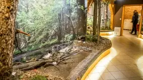 Fotorelacja -  Ogólnopolski Dzień Parków Krajobrazowych w Puszczy Piskiej - zdjęcie 21